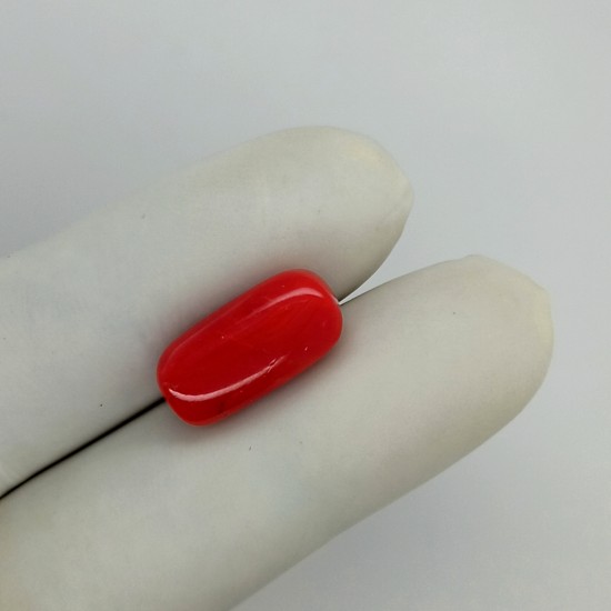 Coral (Moonga) 9.35 Ct Gem Quality Coral (Moonga) 9.35 Ct Gem Quality